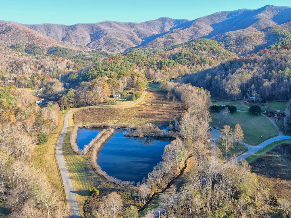 307 Plott Town Overlook, BLAIRSVILLE, Georgia image 5