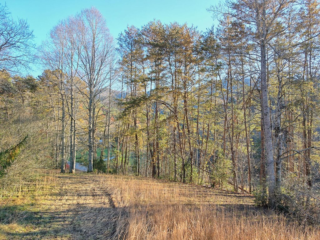 307 Plott Town Overlook, BLAIRSVILLE, Georgia image 14