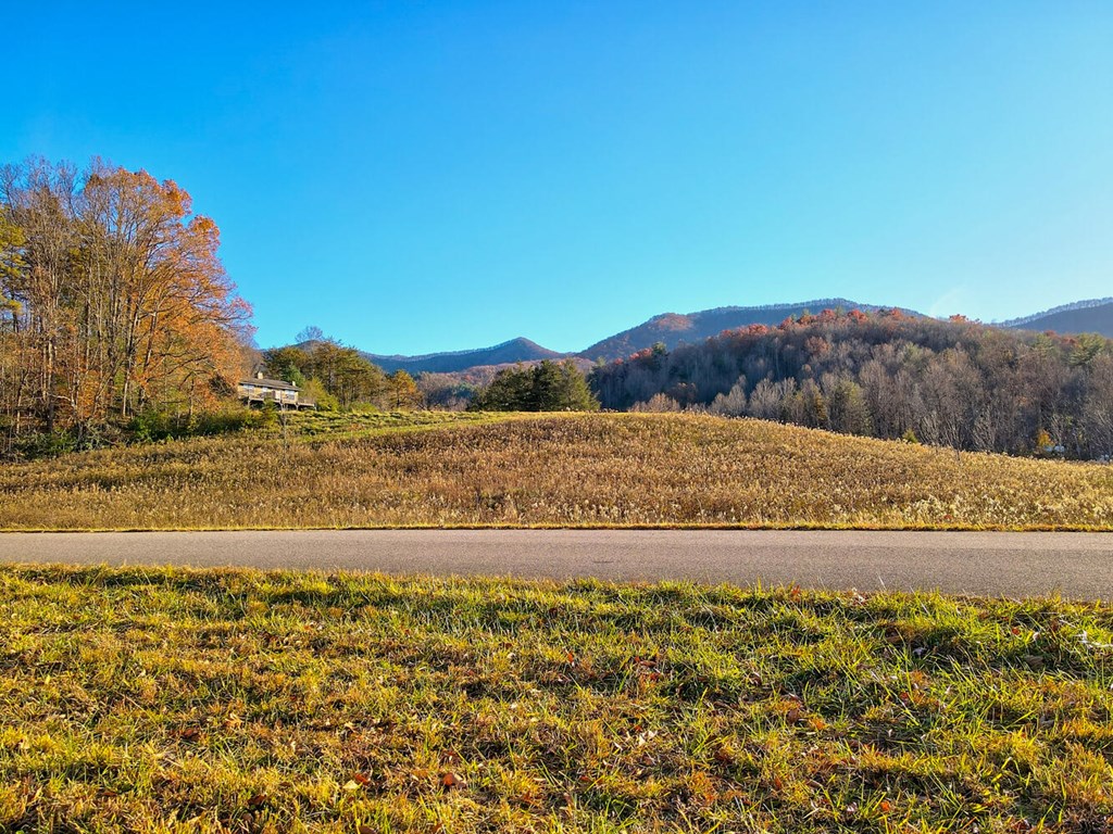 307 Plott Town Overlook, BLAIRSVILLE, Georgia image 11