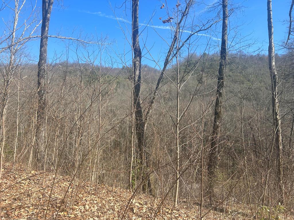 Lot 94 Towalgia Dr #94, BRYSON CITY, North Carolina image 1