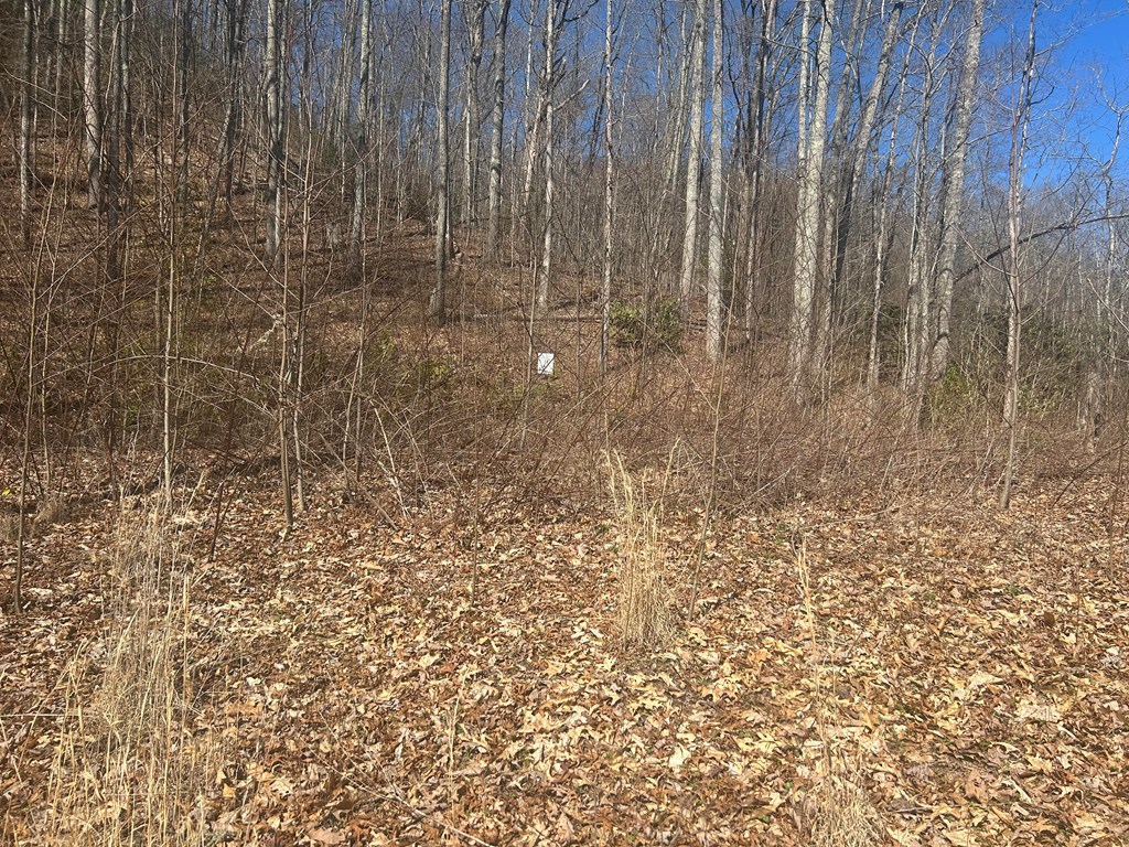 Lot 94 Towalgia Dr #94, BRYSON CITY, North Carolina image 2