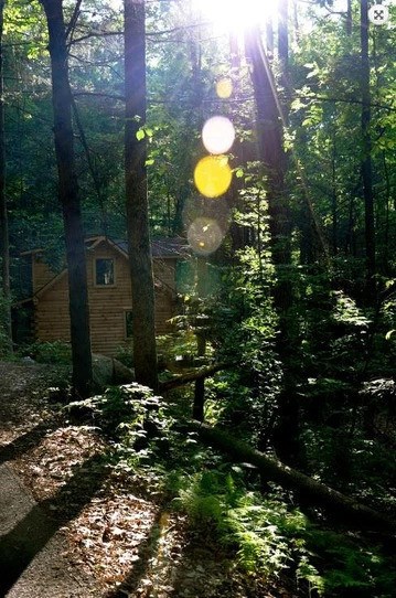 604 Mt. View School Rd, ROBBINSVILLE, North Carolina image 9
