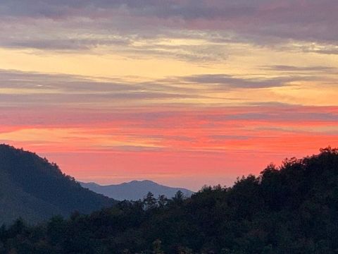 Homes For Sale - 170 Polaris Way<br/> BRYSON CITY, NC 28713