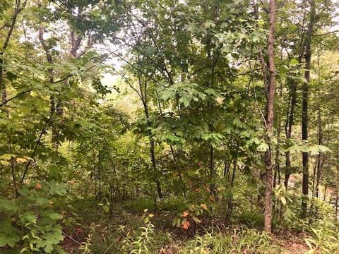 Vacant Land For Sale - 00 Carolina Vistas Vis #D9<br/> Graham County, ROBBINSVILLE, NC 28771