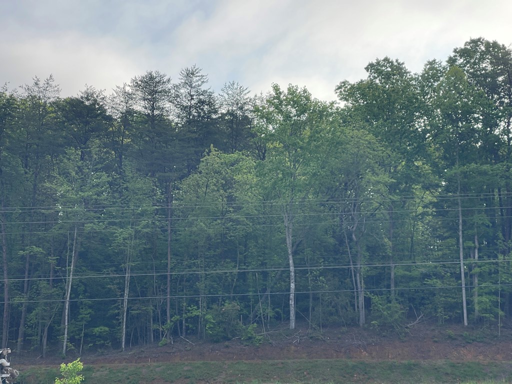 Hwy 64 West, MURPHY, North Carolina image 5