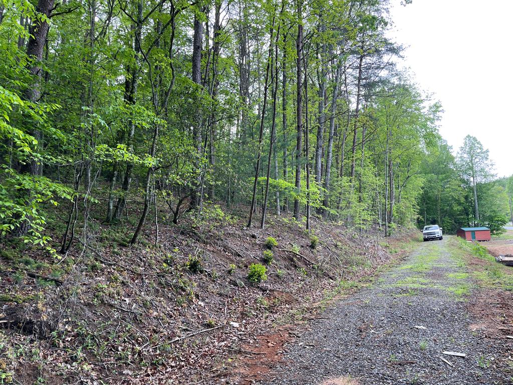 Hwy 64 West, MURPHY, North Carolina image 1