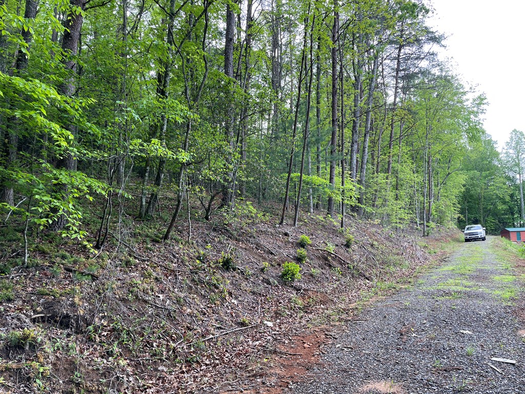 Hwy 64 West, MURPHY, North Carolina image 2