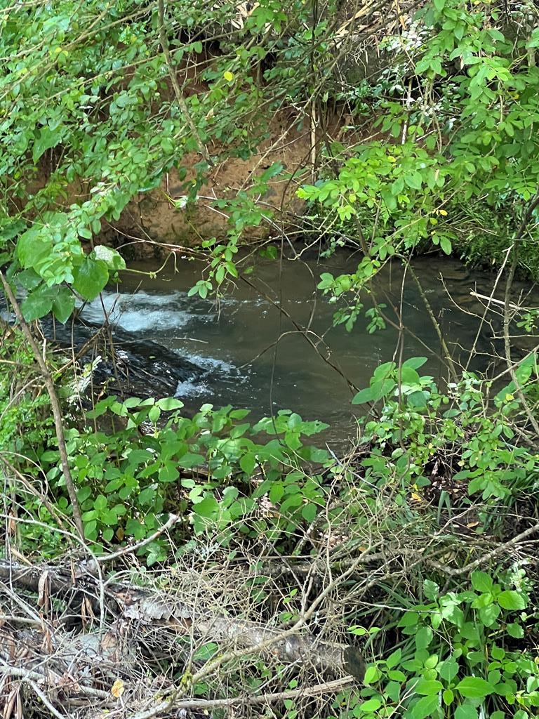 39 Acres Hiwassee Dam Access Road, MURPHY, North Carolina image 1