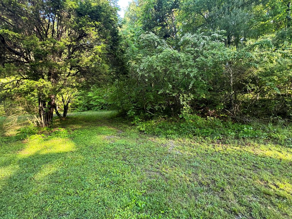 39 Acres Hiwassee Dam Access Road, MURPHY, North Carolina image 13