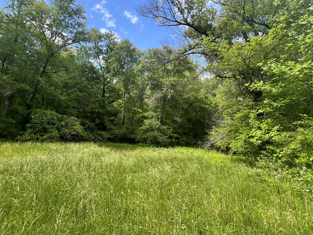 39 Acres Hiwassee Dam Access Road, MURPHY, North Carolina image 2