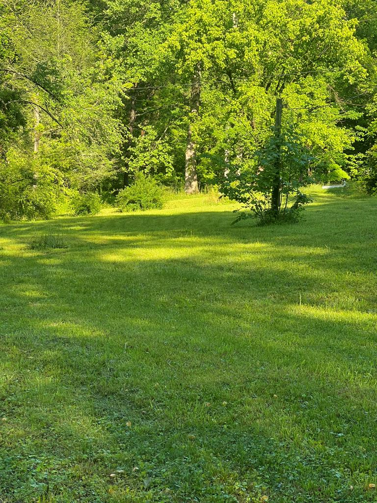 39 Acres Hiwassee Dam Access Road, MURPHY, North Carolina image 10