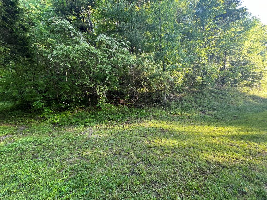 39 Acres Hiwassee Dam Access Road, MURPHY, North Carolina image 12