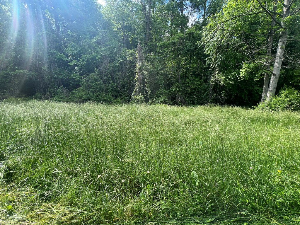 39 Acres Hiwassee Dam Access Road, MURPHY, North Carolina image 3