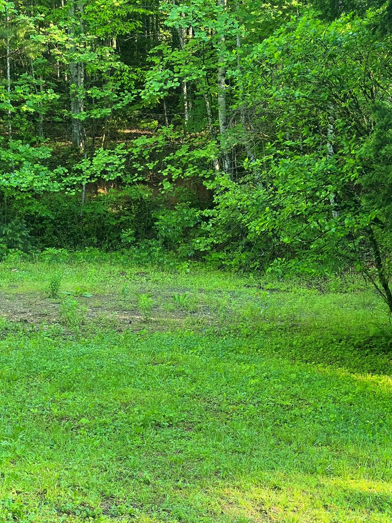 39 Acres Hiwassee Dam Access Road, MURPHY, North Carolina image 11