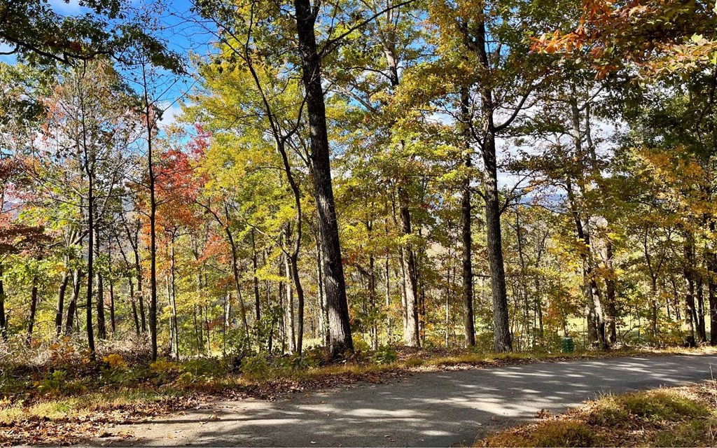 Lot 18 Harris Ridge Rd #18, YOUNG HARRIS, Georgia image 7