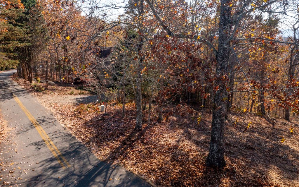 Lot 18 Harris Ridge Rd #18, YOUNG HARRIS, Georgia image 31