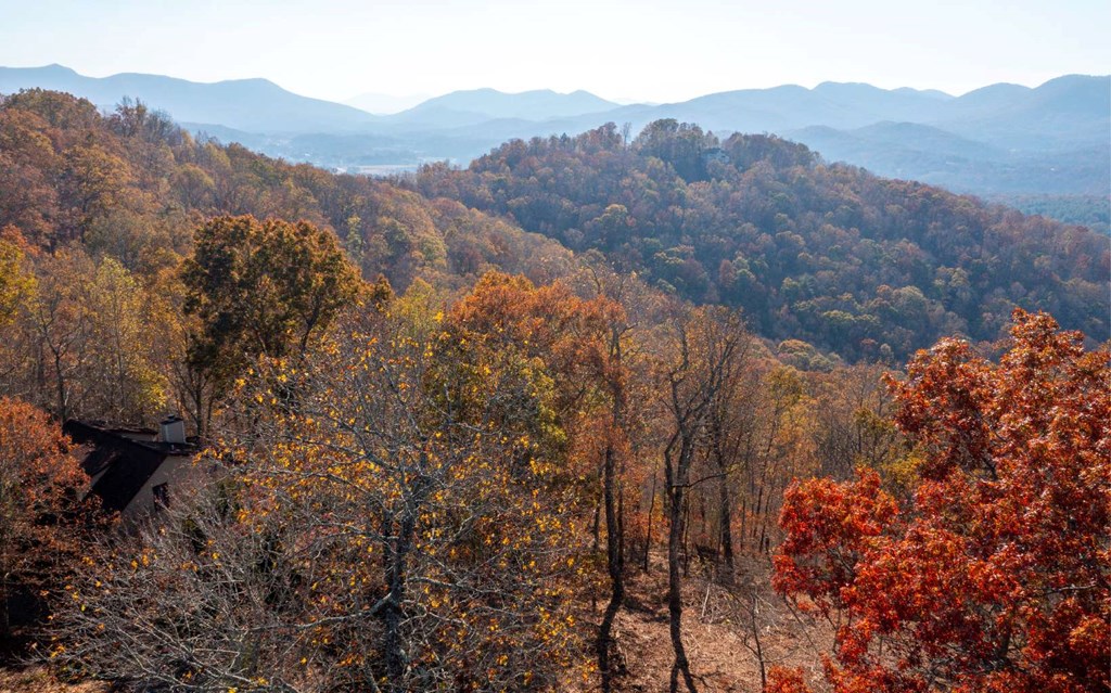 Lot 18 Harris Ridge Rd #18, YOUNG HARRIS, Georgia image 8