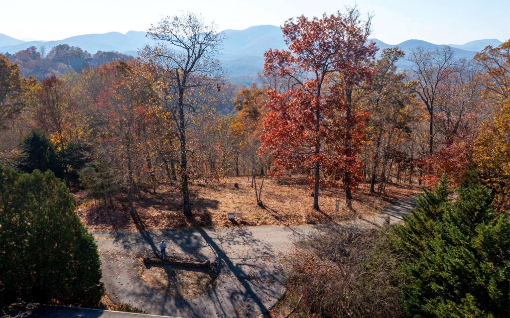 Lot 18 Harris Ridge Rd #18, YOUNG HARRIS, Georgia image 17