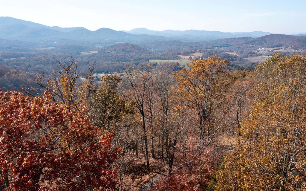 Lot 18 Harris Ridge Rd #18, YOUNG HARRIS, Georgia image 14