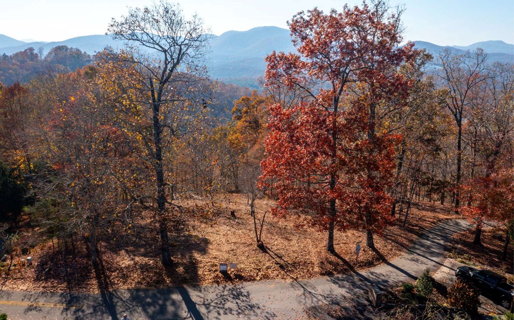 Lot 18 Harris Ridge Rd #18, YOUNG HARRIS, Georgia image 30