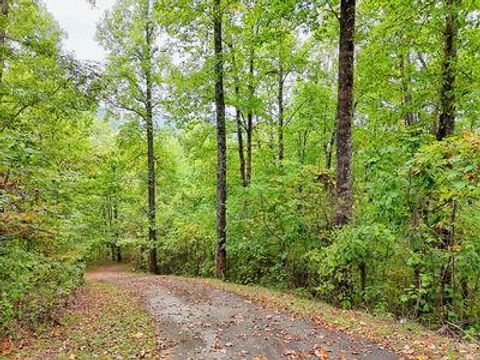 Vacant Land For Sale - LOT 1 Skyview Drive #1<br/> HAYESVILLE, NC 28904