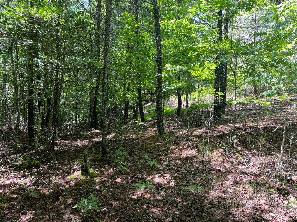 River Mountain Road #96, MURPHY, North Carolina image 9