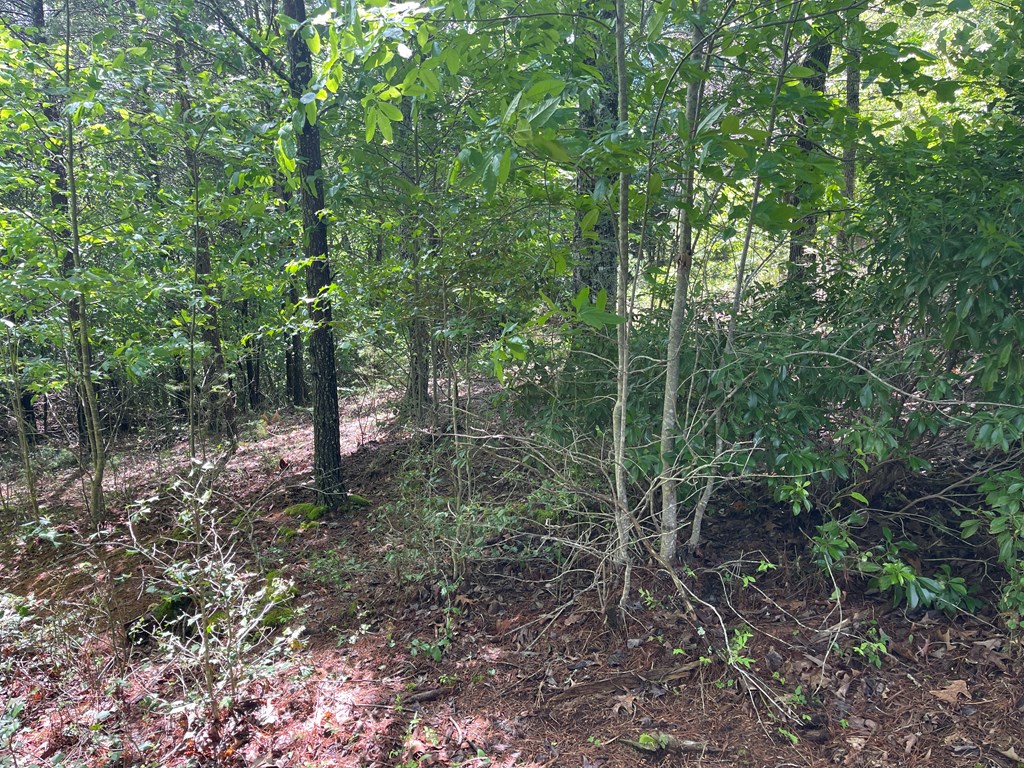 River Mountain Road #96, MURPHY, North Carolina image 8