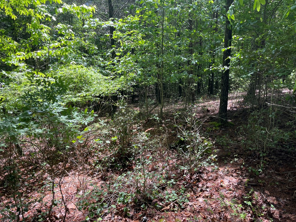 River Mountain Road #96, MURPHY, North Carolina image 7