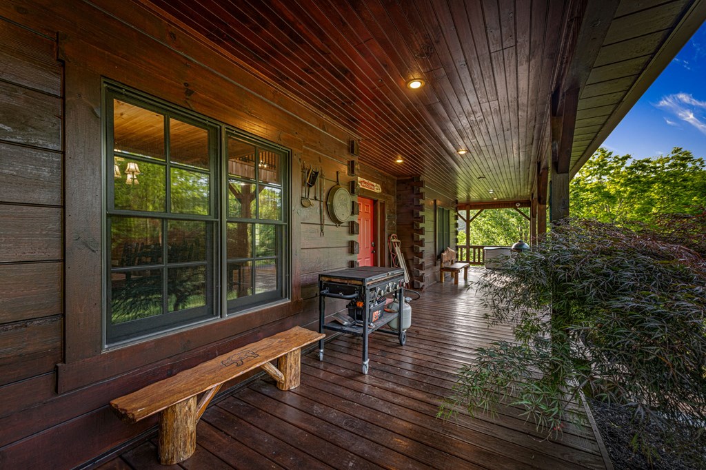 2007 Pine Log Church Road, BRASSTOWN, North Carolina image 28