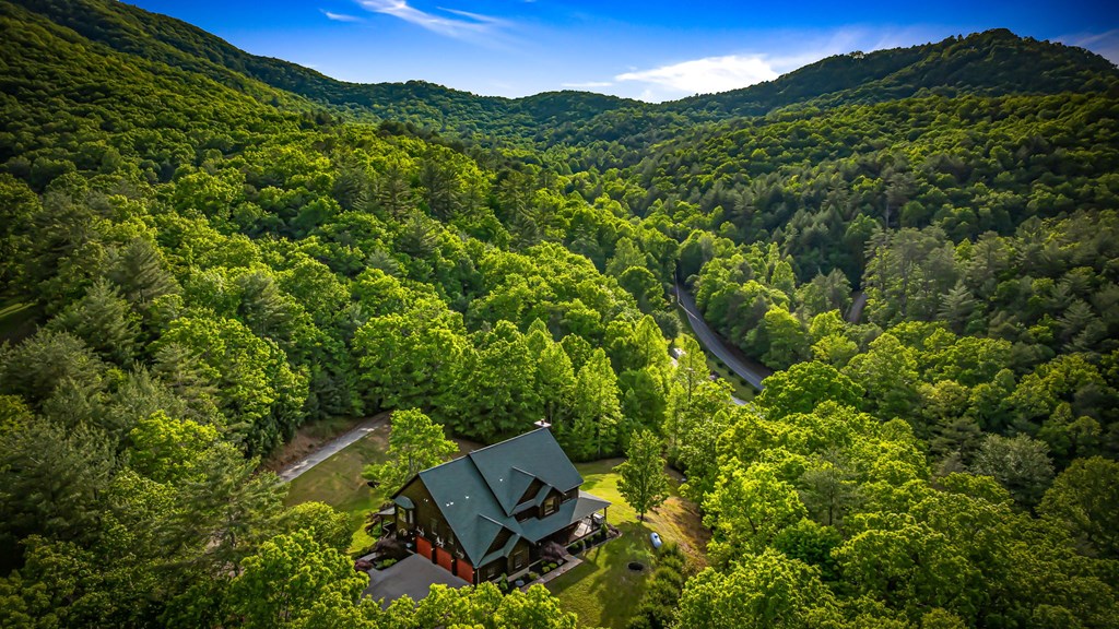 2007 Pine Log Church Road, BRASSTOWN, North Carolina image 19