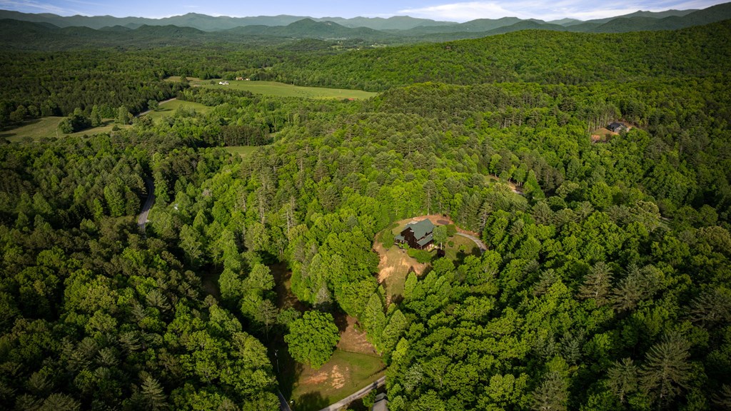 2007 Pine Log Church Road, BRASSTOWN, North Carolina image 20