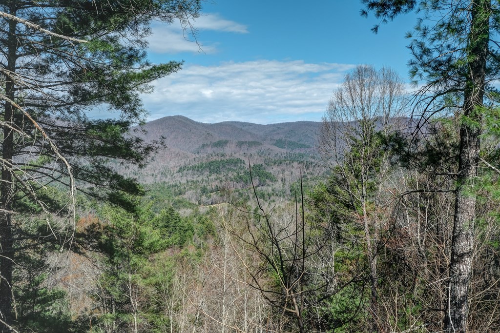 650 Top Horseshoe Ridge, MURPHY, North Carolina image 2