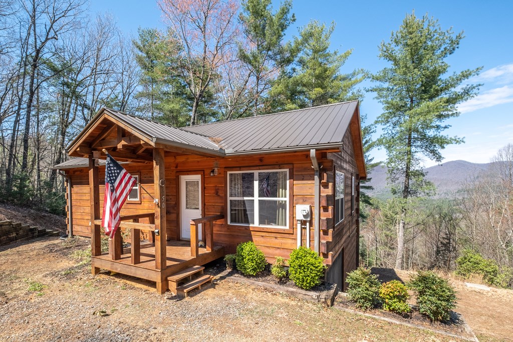 650 Top Horseshoe Ridge, MURPHY, North Carolina image 9
