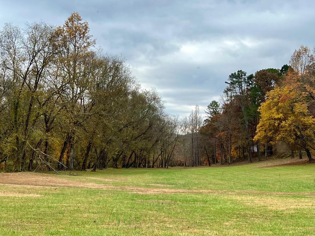 Lot 16 Cricket Lane, BRASSTOWN, North Carolina image 33