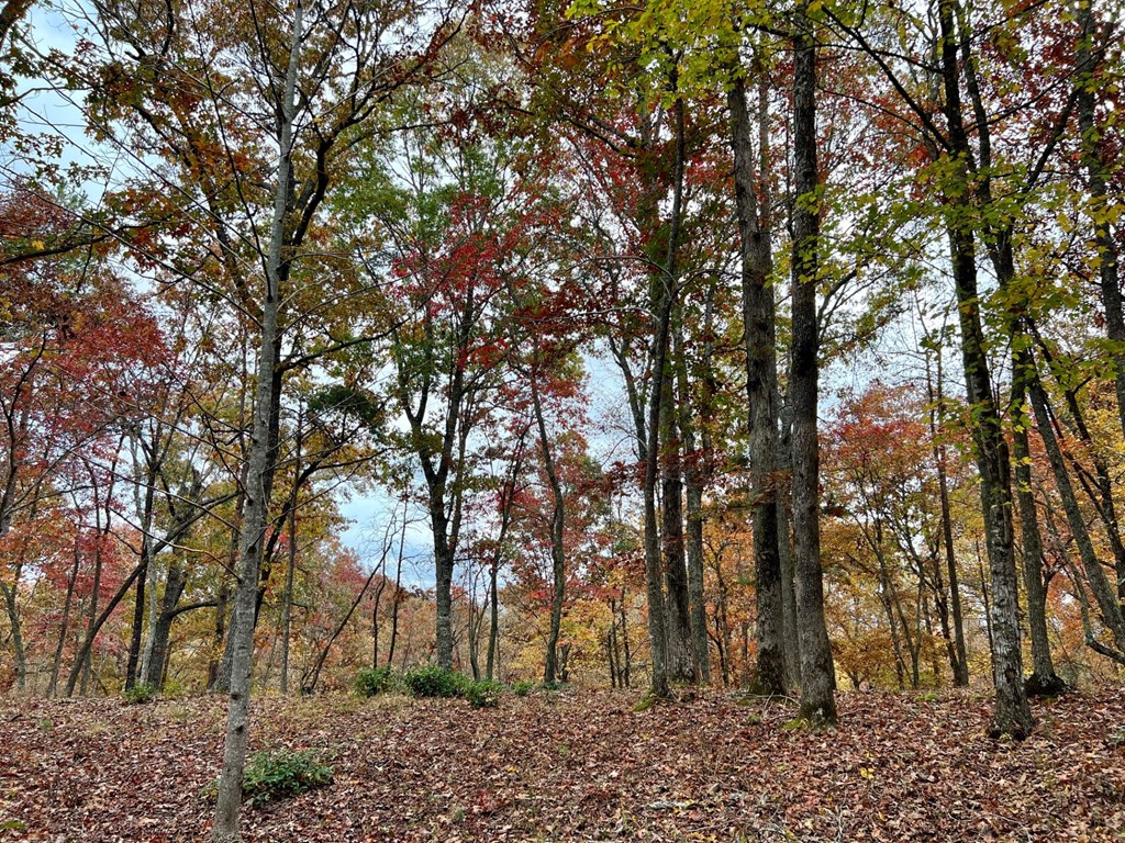 Lot 16 Cricket Lane, BRASSTOWN, North Carolina image 27