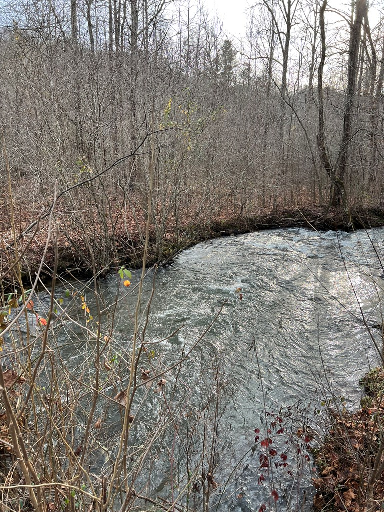 Lots 9, 10, 11, 15 & 17 Mary Lane, HAYESVILLE, North Carolina image 2