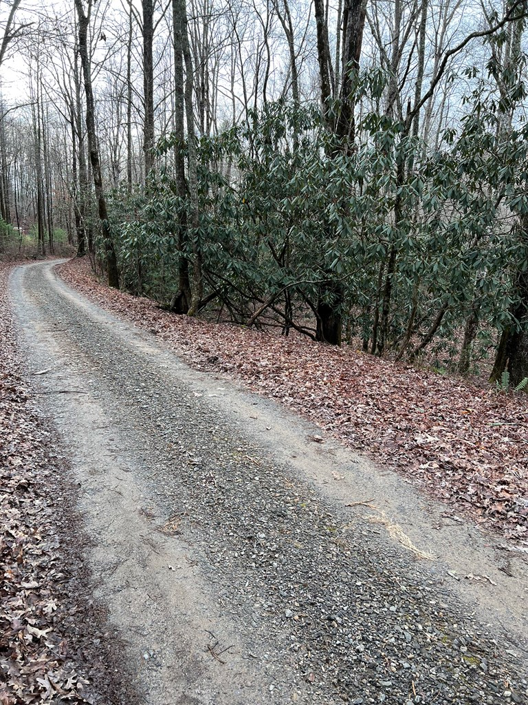 Lots 9, 10, 11, 15 & 17 Mary Lane, HAYESVILLE, North Carolina image 12