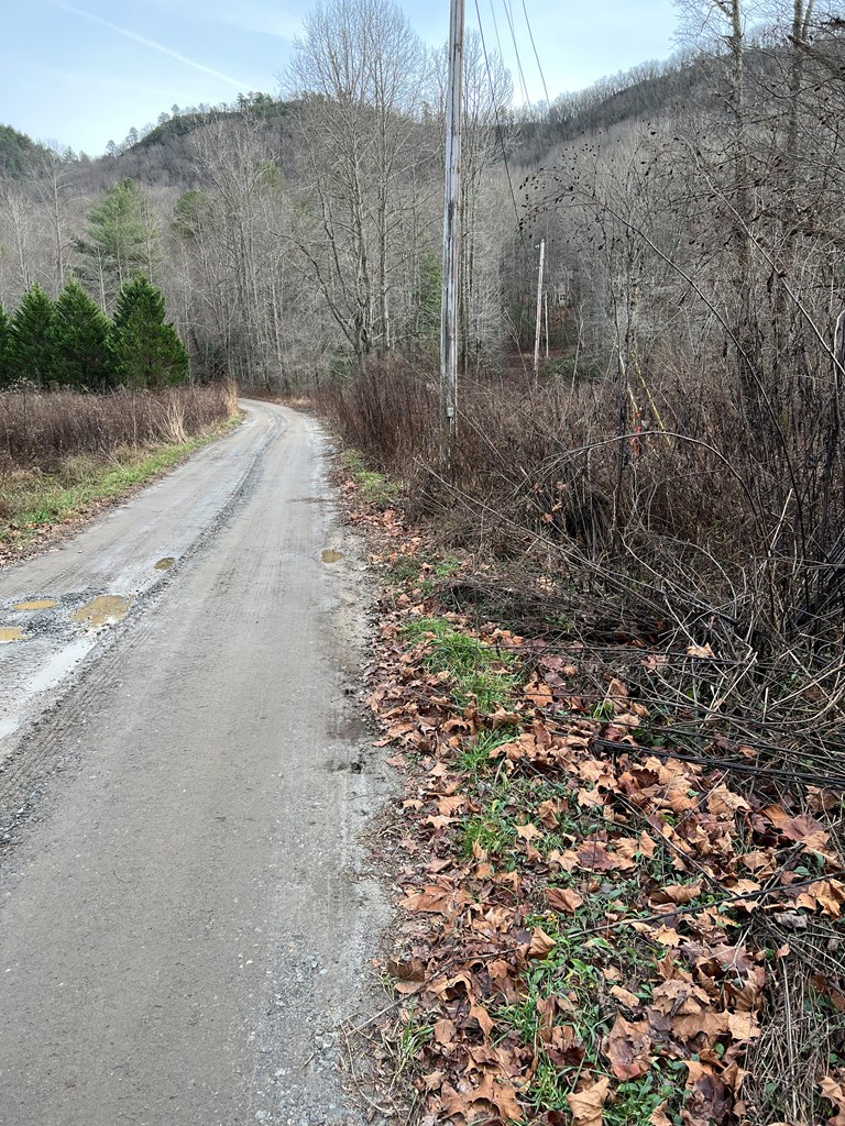 Lots 9, 10, 11, 15 & 17 Mary Lane, HAYESVILLE, North Carolina image 7