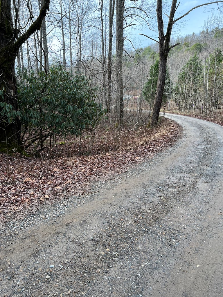 Lots 9, 10, 11, 15 & 17 Mary Lane, HAYESVILLE, North Carolina image 15