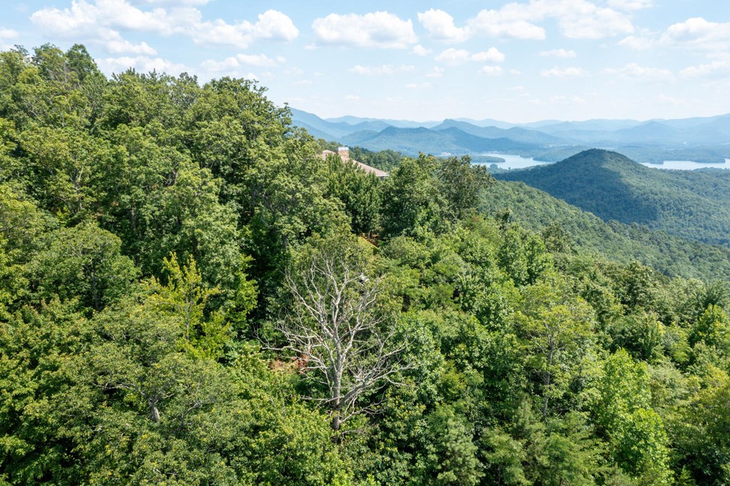 LOT 34 Pinnacle Drive #34, HAYESVILLE, North Carolina image 7