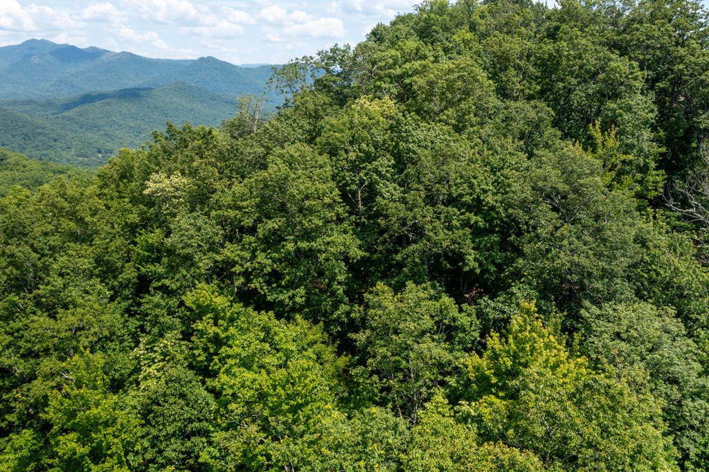 LOT 34 Pinnacle Drive #34, HAYESVILLE, North Carolina image 9