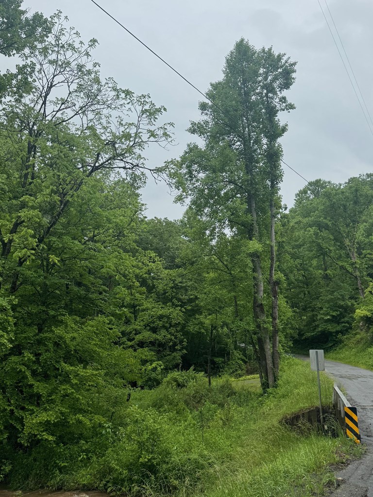 Summit Ridge Off Of Chestnut Cove Rd, SYLVA, North Carolina image 12