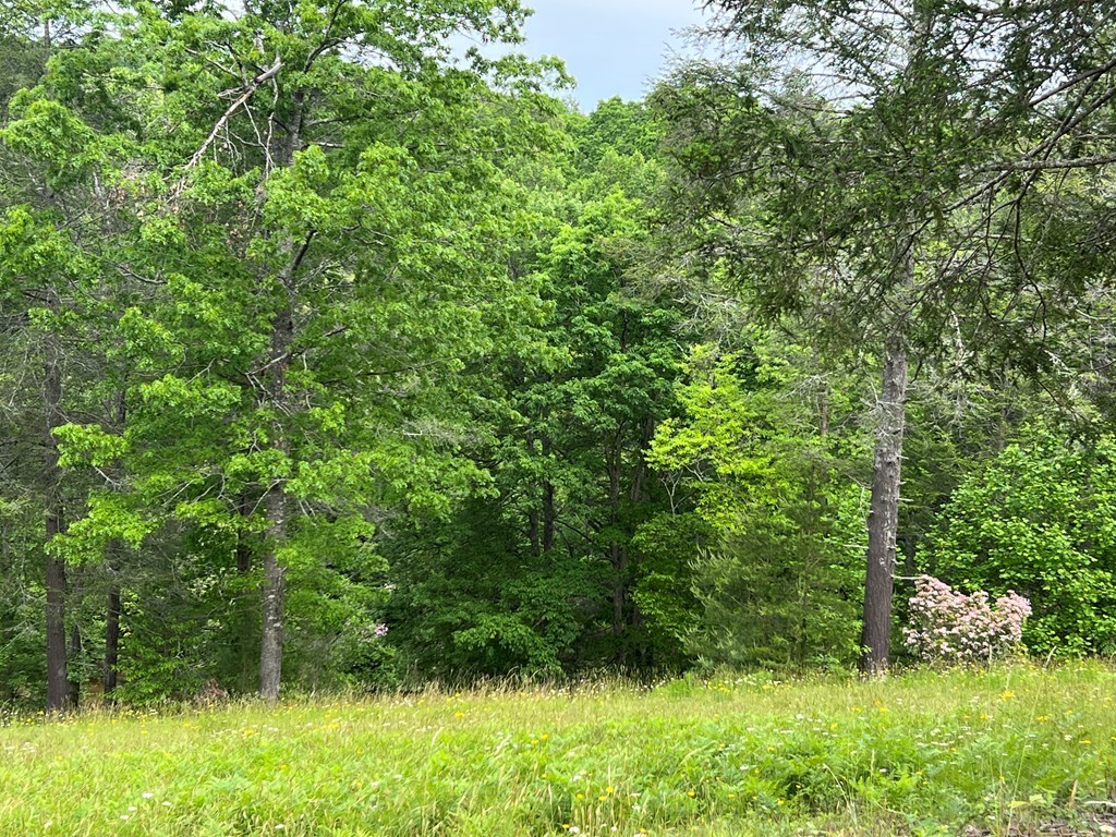 Lot 52 Madeline Way #52, BLAIRSVILLE, Georgia image 16