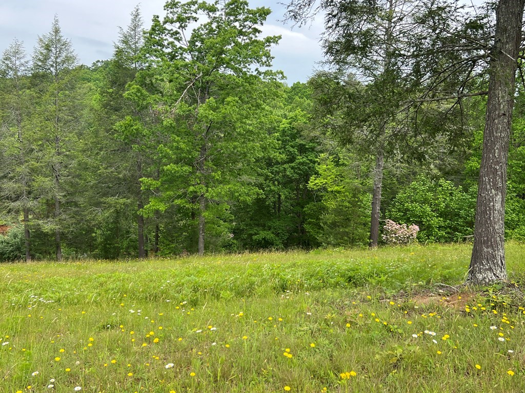 Lot 52 Madeline Way #52, BLAIRSVILLE, Georgia image 26