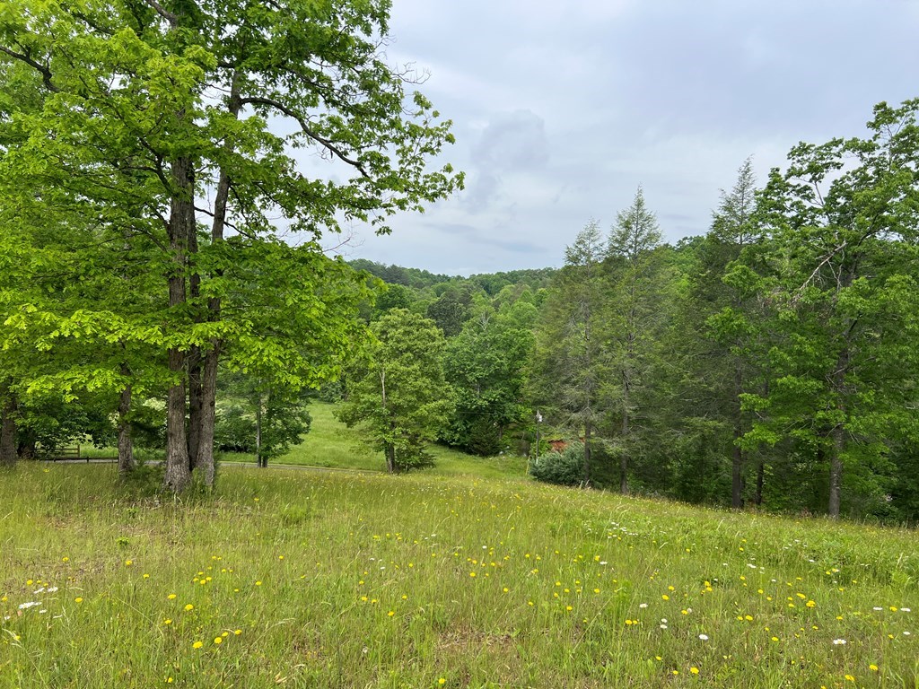 Lot 52 Madeline Way #52, BLAIRSVILLE, Georgia image 12