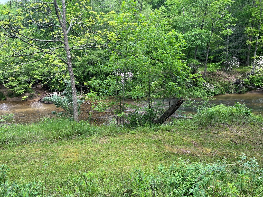 Lot 52 Madeline Way #52, BLAIRSVILLE, Georgia image 20