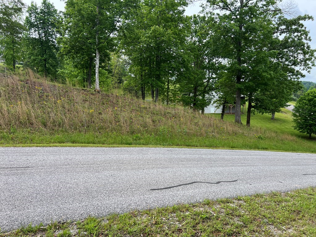 Lot 52 Madeline Way #52, BLAIRSVILLE, Georgia image 11