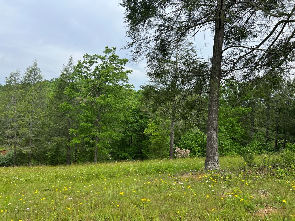 Lot 52 Madeline Way #52, BLAIRSVILLE, Georgia image 7
