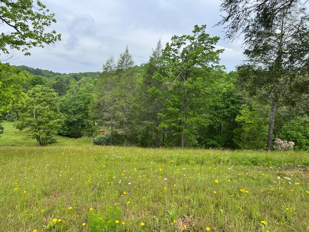 Lot 52 Madeline Way #52, BLAIRSVILLE, Georgia image 4