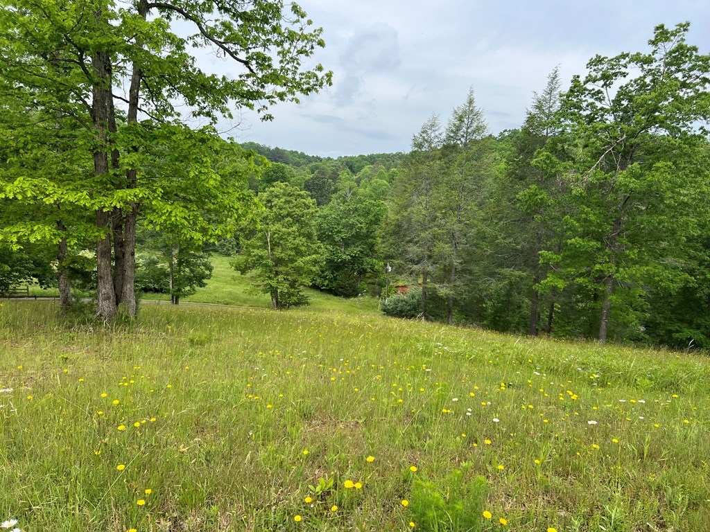 Lot 52 Madeline Way #52, BLAIRSVILLE, Georgia image 25